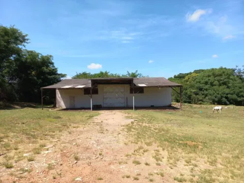 Foto 2 de Amplo Galpão Próximo ao Militão
