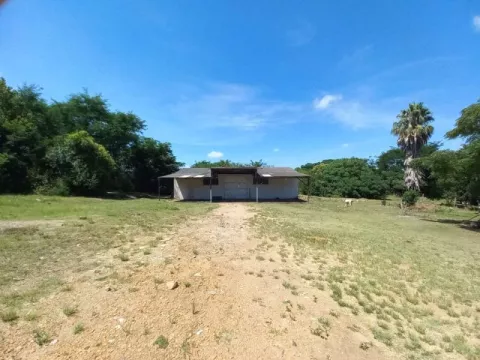 Foto 3 de Amplo Galpão Próximo ao Militão