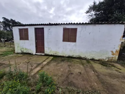 Foto 2 de Edícula de fundos para locação